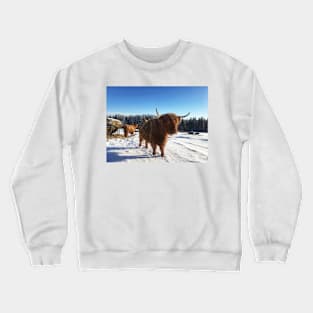 Scottish Highland Cattle Cows 1709 Crewneck Sweatshirt